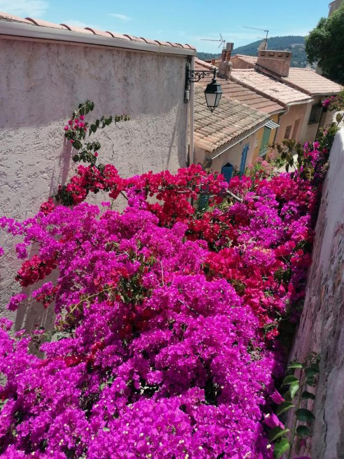 Beautiful Renovated Studio With View- Old Hyères Exteriör bild