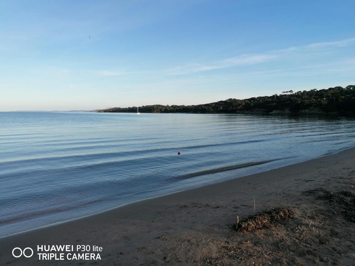 Beautiful Renovated Studio With View- Old Hyères Exteriör bild